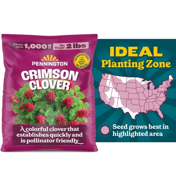Pennington Pennington Crimson Clover 2 Pounds