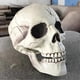 thumbnail image 3 of Creepy Plastic Open Mouth Skull Skeleton Haunted House Decor Halloween Prop Y, 3 of 5