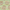 Green/Natural, variant on SAFAVIEH Cape Cod Michayla Braided Geometric Area Rug, 8' x 10', Green/Natural