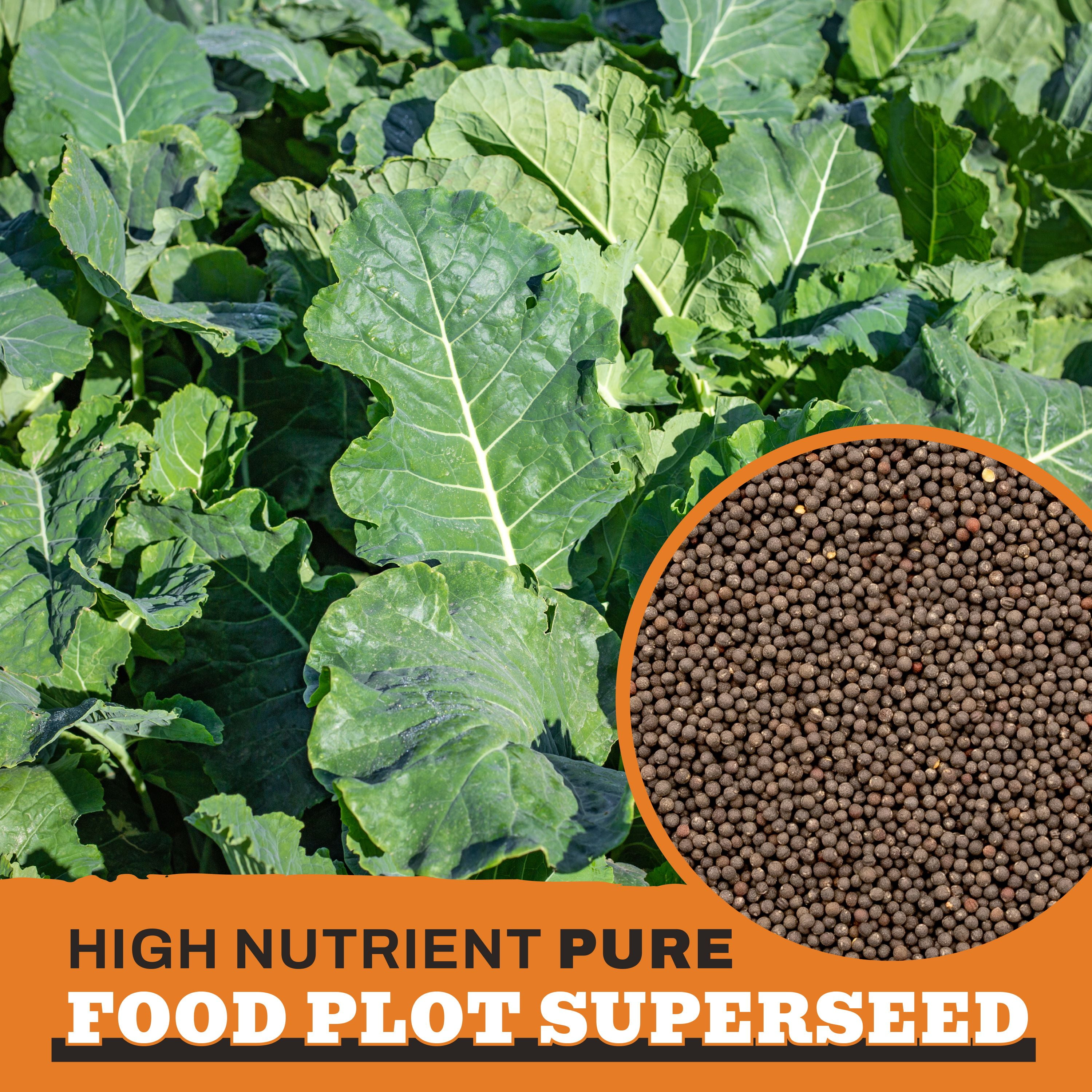 Whitetail Products Gone Wild, Forage Kale Food Plot Seeds, 3lb Bag, G1853