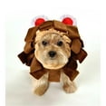 thumbnail image 1 of Anit Accessories AP1077-S Lion Dog Costume - Small, 1 of 1