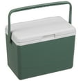 thumbnail image 1 of Incubadora Mantenimiento Fresco Caja Aislamiento para Barbacoa Refrigerador Coche Y Acampada 3L Con Preservación Del Calor Acampar Chupar, 1 of 9