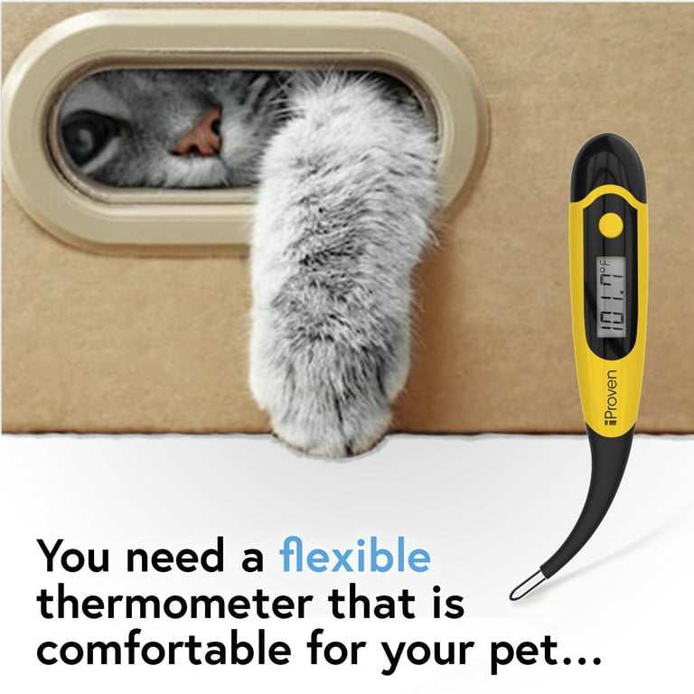 Cat deals thermometer petsmart