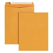 10 x 13 Catalog Envelopes with Self Seal Closure, Great Option for Mailing, Storage and Organizing, 28 lb. Brown Kraft, 100 per Box