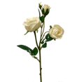 thumbnail image 1 of Creamy White English Garden Rose Artificial Flower, 1 of 1