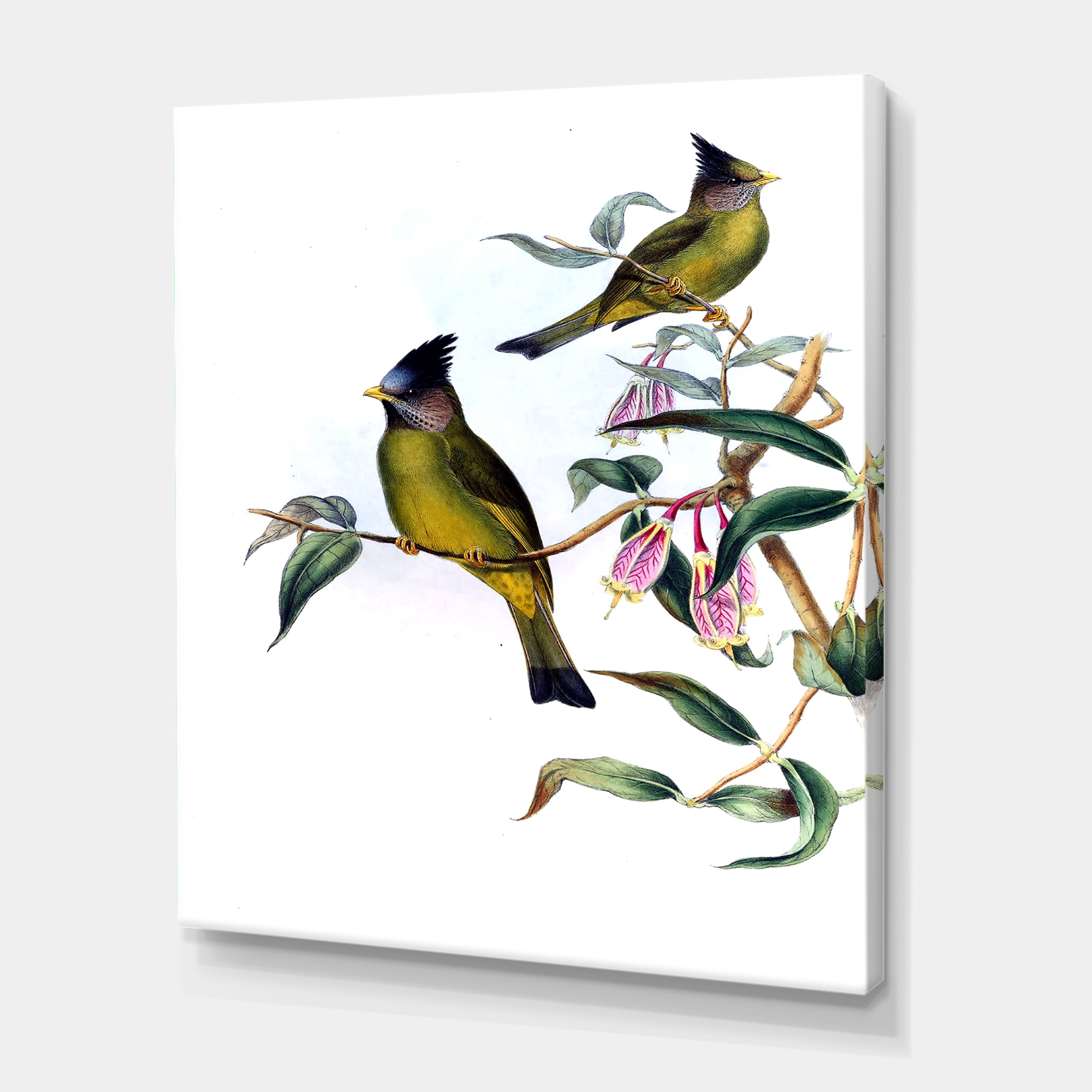 Designart ' Vintage Countryside Birds On Branch II ' Farmhouse Canvas Wall Art Print