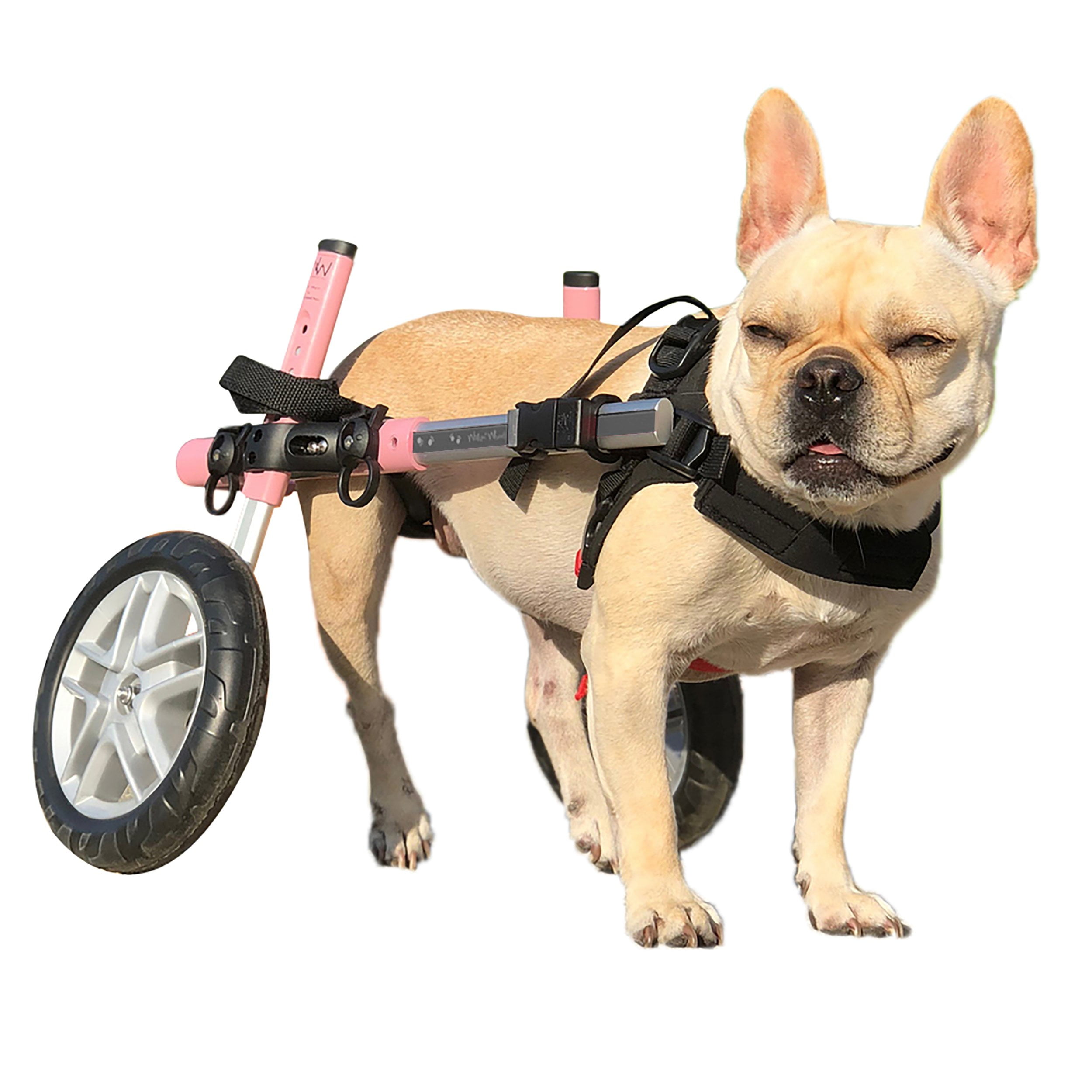 Pink Dog Wheelchair for Small Dogs 1125 Pounds Veterinarian