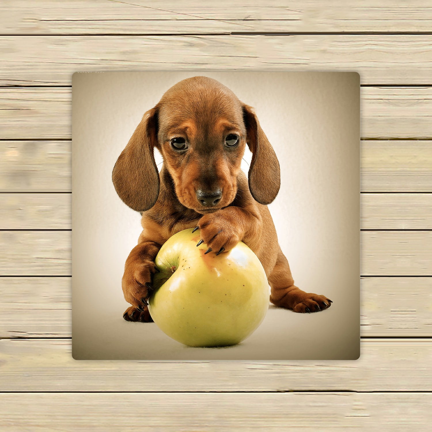 Are Green Apples Good For Puppies