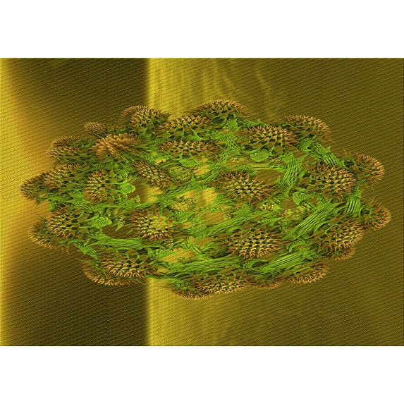 Ahgly Company Machine Washable Indoor Rectangle Transitional Dark Golden Rod Brown Area Rugs, 7' x 10'