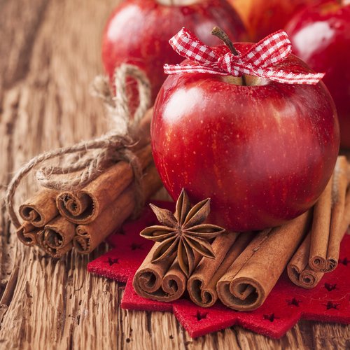 Apple Spice Premium Fragrance Oil, 16 Oz. Bottle