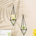 thumbnail image 4 of Beaupretty 4Pcs Hanging Iron Air Plant Holders Black Metal Planters for Home, 4 of 8