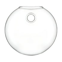 LanSuare Wall Mounted Glass Vase, Flat Cake Hydroponic Planter, Home Wall Decor, Suitable for Air Plants, Plants, Garden