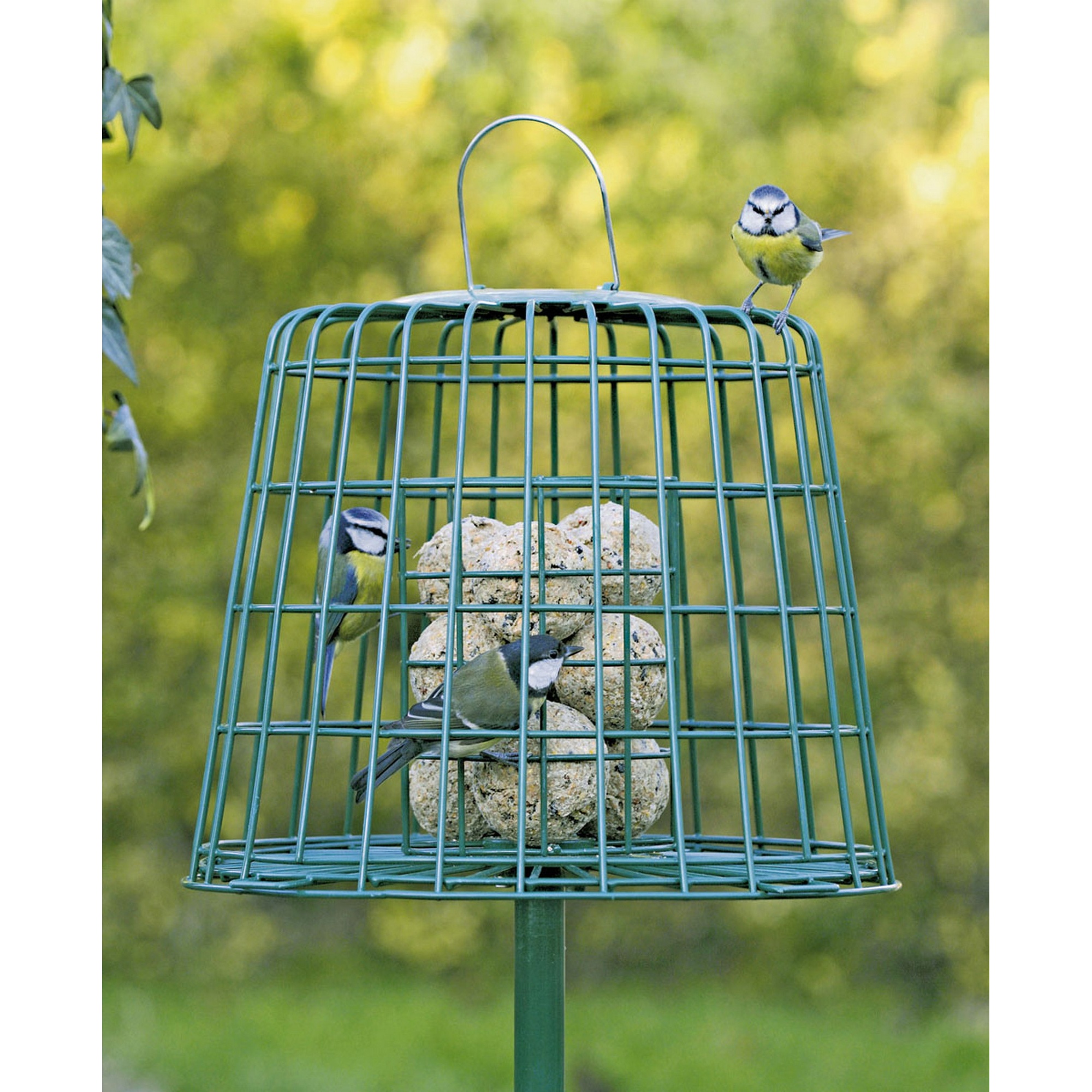 C J Guardian Fat Ball And Suet Bird Feeder