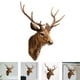 thumbnail image 5 of Cabeza de ciervo para decoración de pared, escultura de pared de astas de ciervo marrón, cabeza de Animal de pared de resina de taxidermia sintética Baoblaze Escultura de pared, 5 of 8