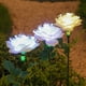 thumbnail image 5 of Luces LED solares para exteriores, flores de rosas con energía solar, luz IP65, resistente al agua, 200mah JShteea El nuevo, 5 of 9