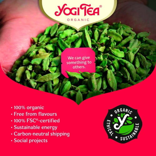 Yogi Tea Green Balance Organic 17's, British Import (Pack of 3)