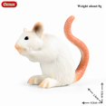 thumbnail image 4 of Oenux Wild Animals Simulation Rodent Marmot Mouse Model Squirrel Rat Chinchilla Action Figure Figurine Collection Cute Kid Toy, 4 of 10