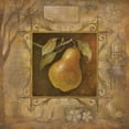 thumbnail image 3 of Vollherbst-Lane, Elaine 15x15 Black Modern Framed Museum Art Print Titled - Pera Bella, 3 of 5