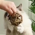 thumbnail image 6 of ievspot Natural Catnip Silvervine Ball Toy Dental Regulation Chew Toy Cat Toys for Indoor Cats Kittens, 6 of 8