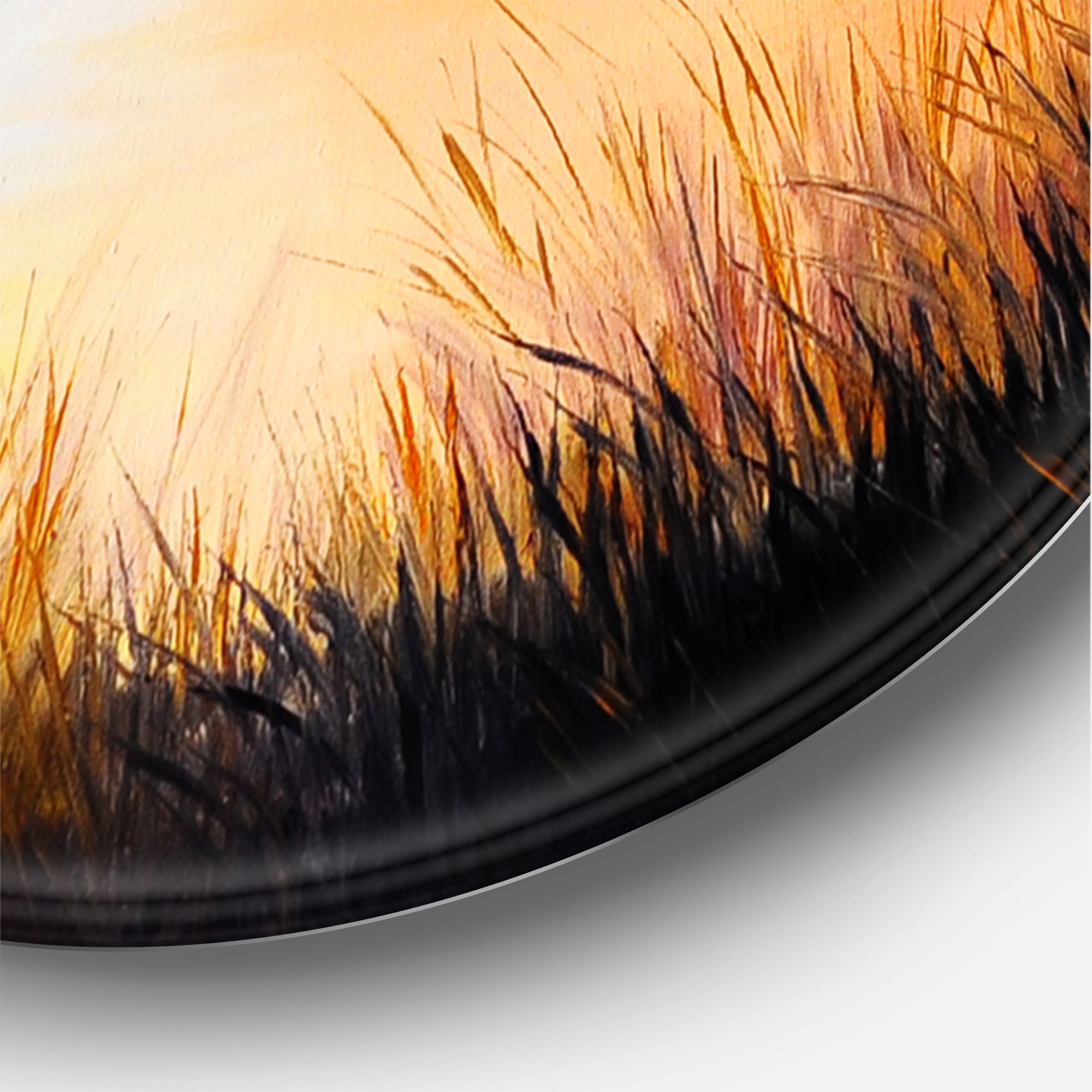 Designart 'Three Cranes Flying Through Warm Sunset' Traditional Circle Metal Wall Art 29x29 - Disc of 29