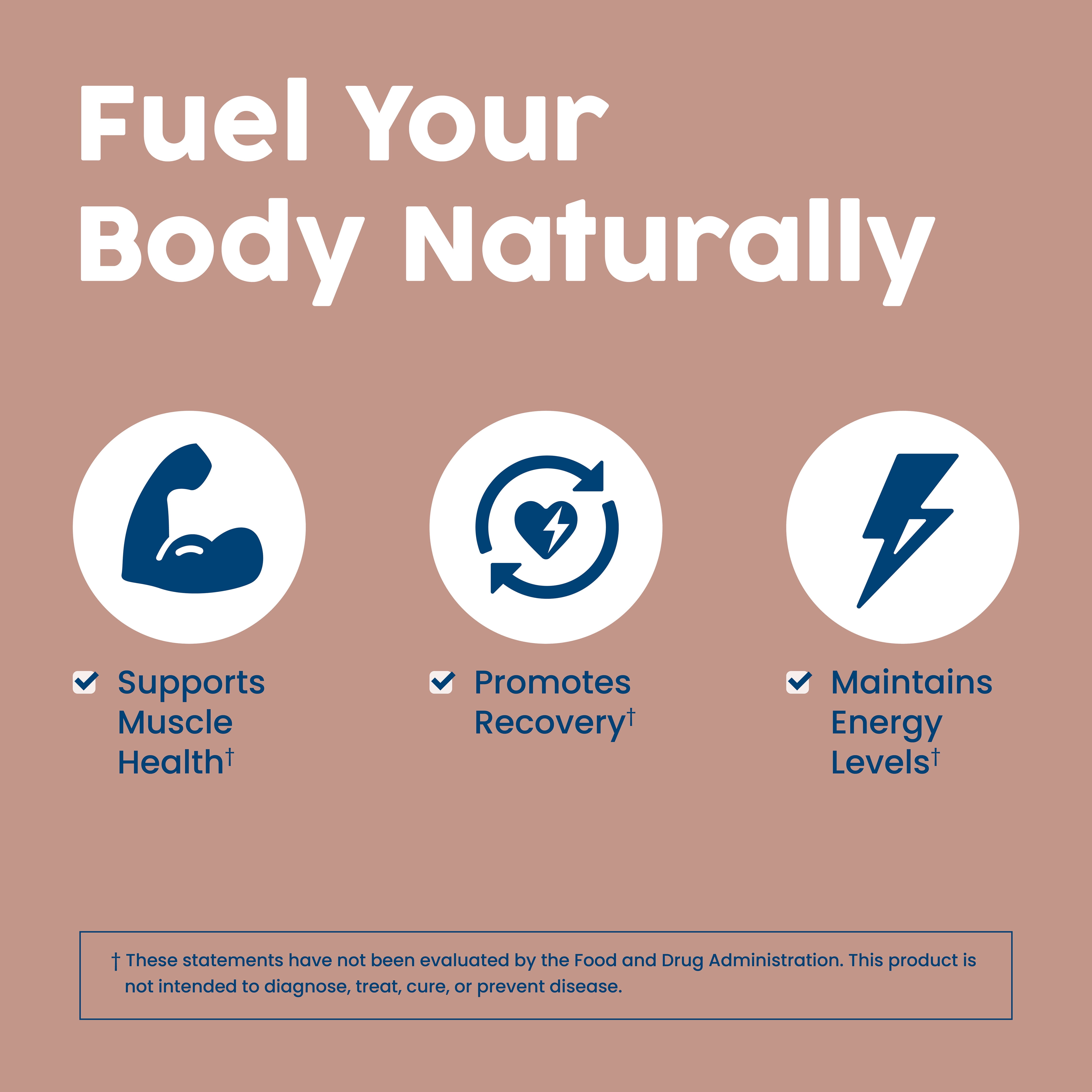 NativePath Beef Protein Powder Chocolate, 20g Grass-Fed Isolate, Dairy-Free Keto, 30 Servings
