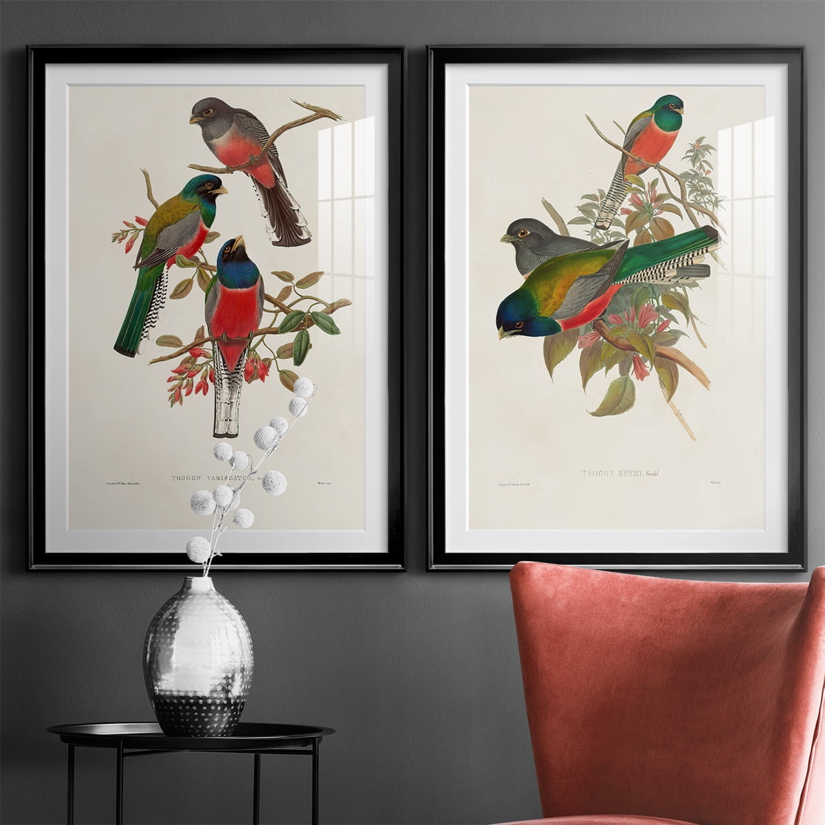 Wexford Home Elegant Trogons IX Premium Framed Print, 26.5" x 36.5" - Ready to Hang, Black (Set of 2)