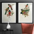 thumbnail image 5 of Wexford Home Elegant Trogons IX Premium Framed Print, 30.5" x 42.5" - Ready to Hang, Black (Set of 2), 5 of 9