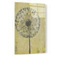 thumbnail image 2 of Epic Art 'Dandelion Abstract II' by Tim O'Toole, Acrylic Glass Wall Art, 16"x24", 2 of 3