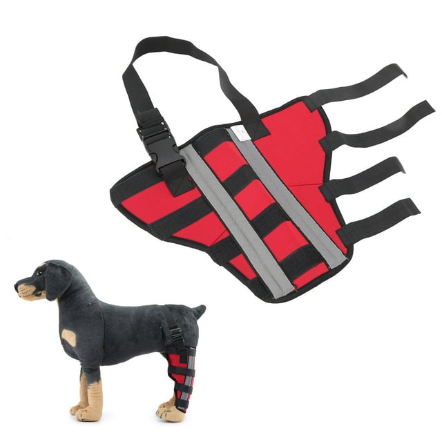 Ccdes Genouillères pour Chien, Protection des Plaies Attelle pour Patte Arrière en Néoprène pour Réhabilitation