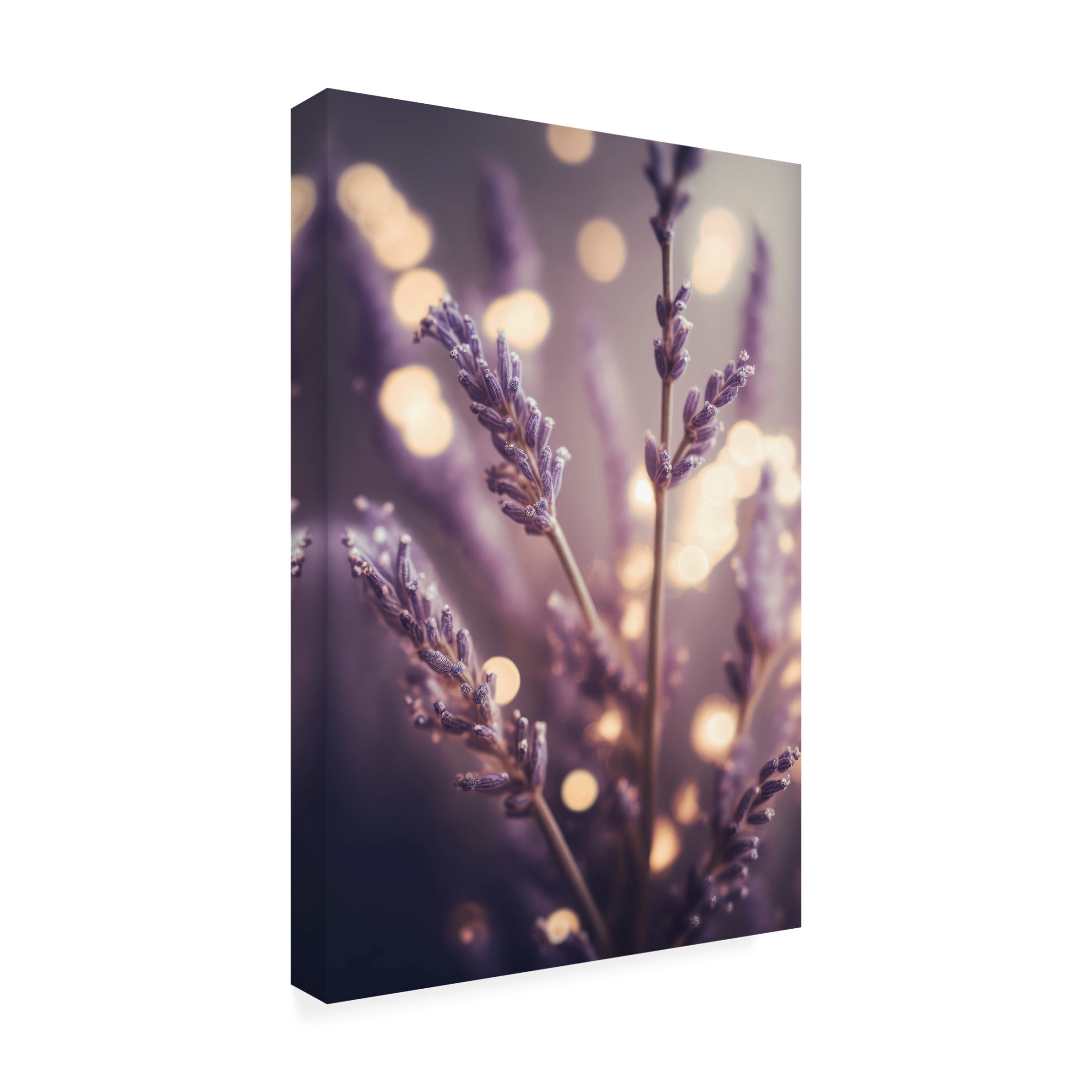 Canvas Wall Art - Treechild 'Lavender Detail' Wall Art for Living Room, Bedroom, or Office D?cor by Trademark Fine Art - 30 x 47 Inches