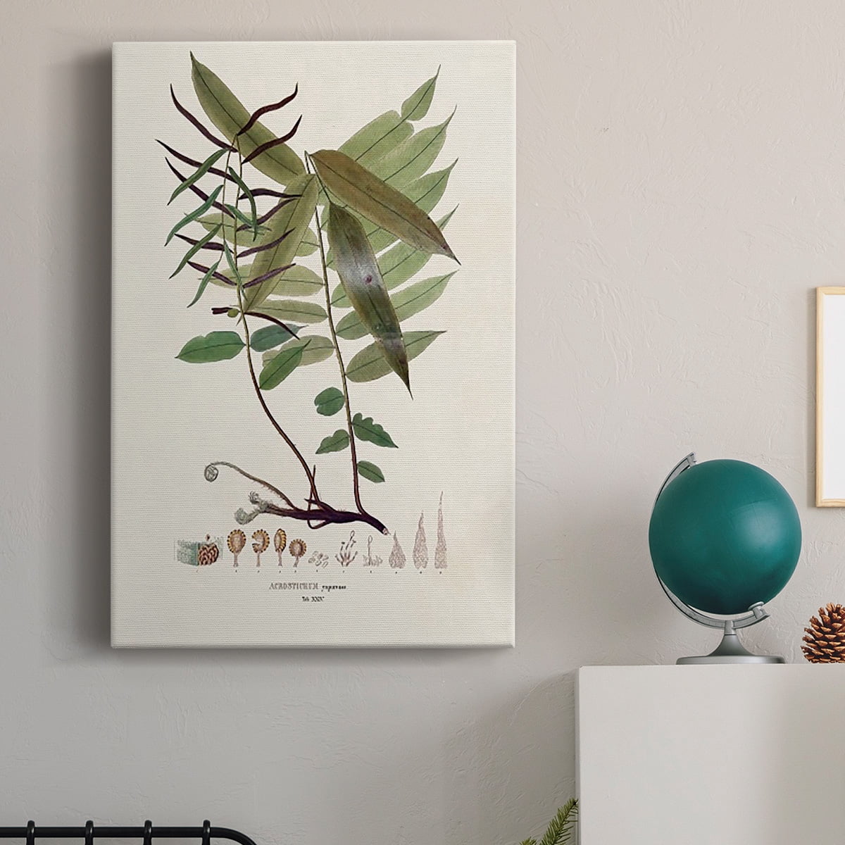 Botanical Society Ferns VI Premium Gallery Wrapped Canvas - Ready to Hang