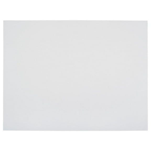 Exlonjet 1485754 Railroad Board, 6-ply Thickness, 22" x 28", White (Pack of 100)