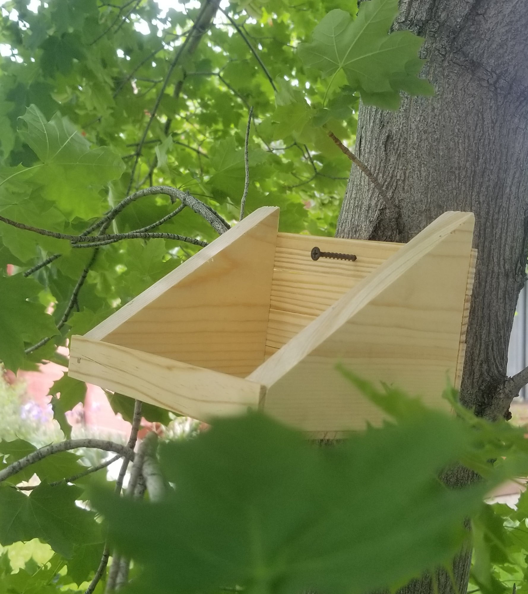 HAMMOND TOYS Nesting Shelf Bird House Wood Kit