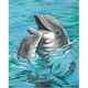 Dimensions 250194 Apprendre à Peindre la Peinture par Numéro Kit 8 Po x 10 Po -Dolphin Duo – image 1 sur 1