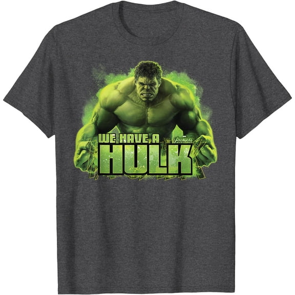 We Have A Hulk Graphic DTG Print Unisex T-Shirt