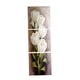 thumbnail image 5 of 1 de 3 Piezas de Flores de án Impresiones en Pintura Impresiones Pared Arte Decoración Imagen S Soledad Pintura de pared de lienzo floral, 5 of 8