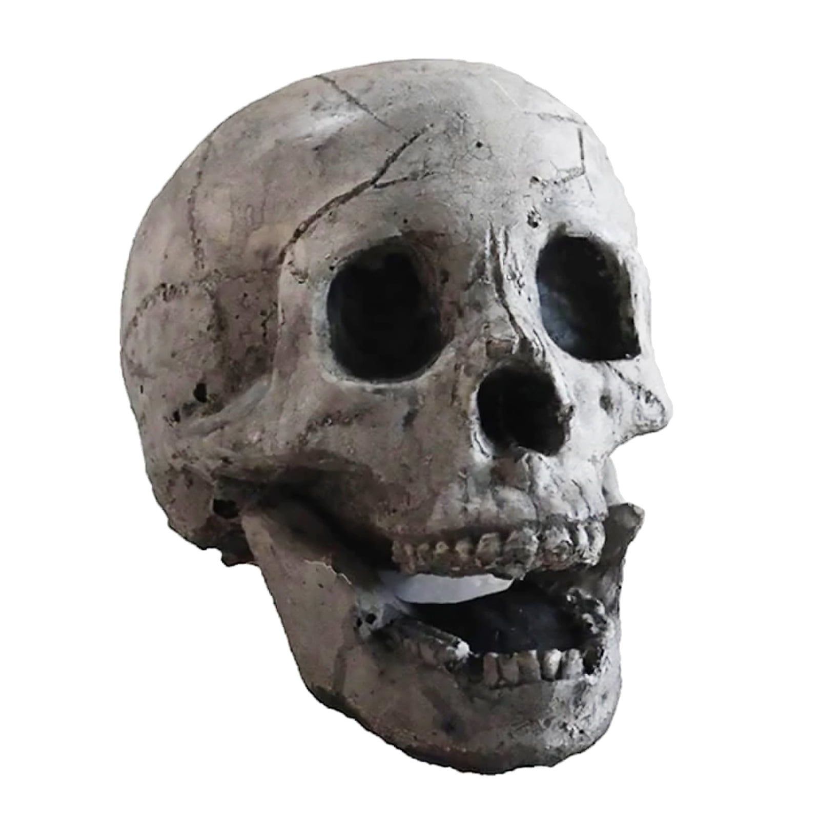 10x mini human skull head decor skeleton coffee bars home ornament teach toy~CA 