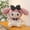 My Melody, variant on Anime Sanrio Halloween Plush Doll Kawaii Demon Kuromi Angel My Melody Doll Plush Toy Girl Birthday Gift Doll Pillow