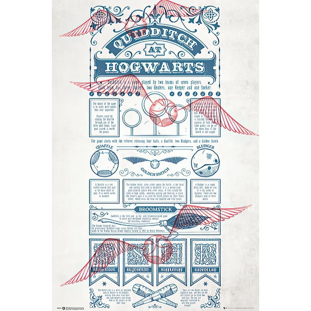 Harry Potter - Movie Poster / Print (Quidditch At Hogwarts - Infographic &  Rules) (Clear Poster Hanger) - Walmart.com