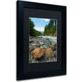 thumbnail image 2 of Trademark Fine Art "Isolated" Canvas Art by Philippe Sainte-Laudy, Black Matte, Black Frame, 2 of 4