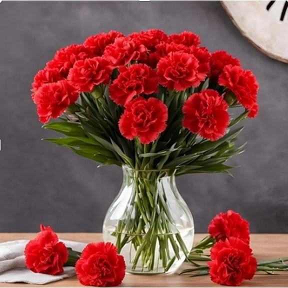 KaBloom: 12 Red Carnation vase, Next-Day Delivery, Gift for Every Occasion.