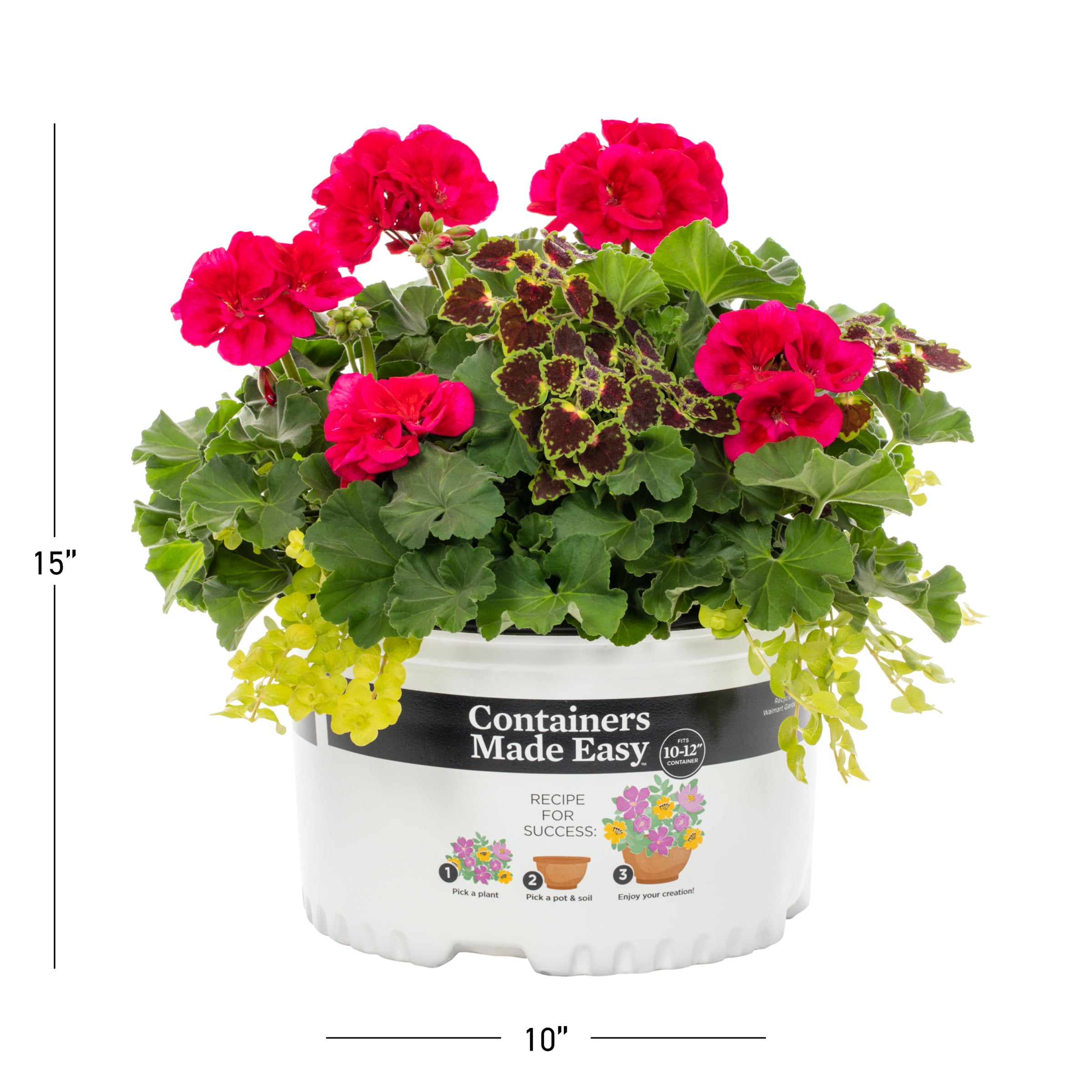 Better Homes & Gardens 1.5gal Multicolor Coleus Geranium Live Annual Plant Sun