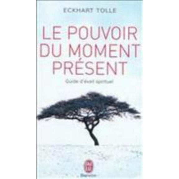 Pre-Owned Le Pouvoir Du Moment Present (Paperback) 2290020206 9782290020203