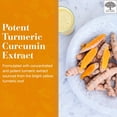 thumbnail image 3 of NEW NORDIC Turmeric Curcumin Gummies - 300 mg Joint Health Sugar Free Supplement - 60 Count, 3 of 7
