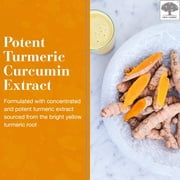 NEW NORDIC Turmeric Curcumin Gummies - 300 mg Joint Health Sugar Free Supplement - 60 Count