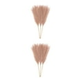 thumbnail image 3 of ZheElen 3pieces Intimate Atmosphere With Artificial Pampas Reed Non-shedding And No Light Coffee 2Set, 3 of 6