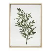 Kate and Laurel Sylvie Ruscus Framed Canvas Wall Art by Patricia Shaw, 23x33 Natural, Botanical Nature Art for Wall