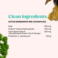 thumbnail image 3 of Pet Honesty Fresh Breath Dental Powder for Dogs for Teeth Cleaning Plaque Off, Dental Care for Dogs, Tartar Remover for Teeth with Natural Herbal Blend + Postbiotics (Mint - 30 Servings), 3 of 15