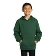 thumbnail image 1 of Sudadera con capucha Sport-Tek® para jóvenes. YST254 Verde bosque L deporte-tek YST254, 1 of 1