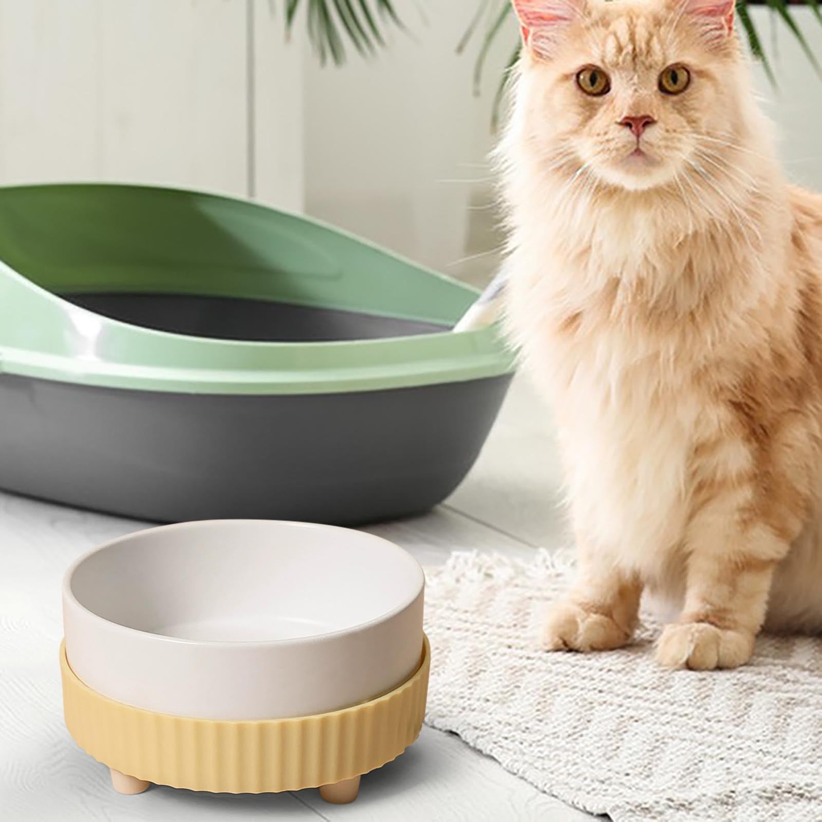 Ceramic Heated Raised Bowl for Cats & Dogs - Elevated Warming Food and Water Dish, Dishwasher Safe Indoor Pet Feeder for Winter